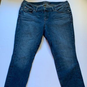Torrid Regular Wash Jeans